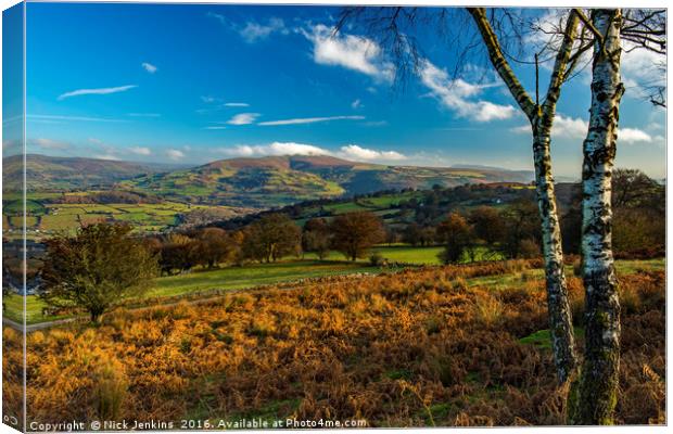 Sugarloaf Mountain Black Mountains Brecon Beacons Canvas Print by Nick Jenkins