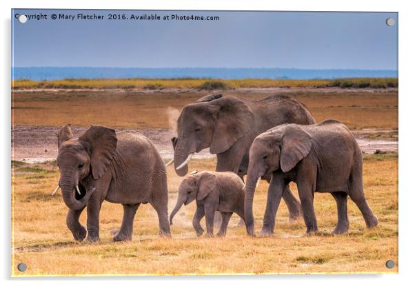 African Elephant Family Acrylic by Mary Fletcher