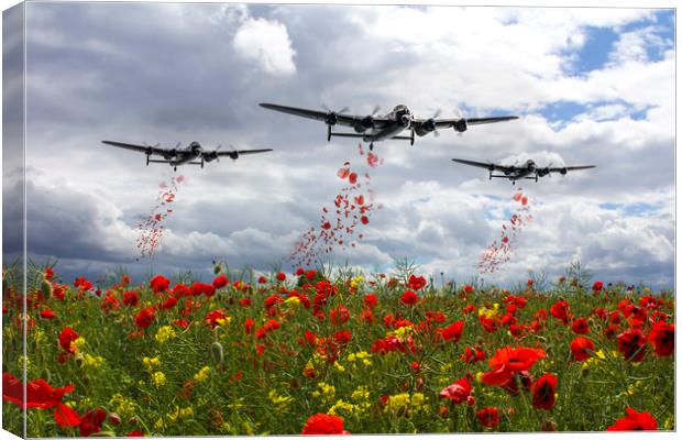 Lancaster Remembrance - Poppy Drop Canvas Print by J Biggadike