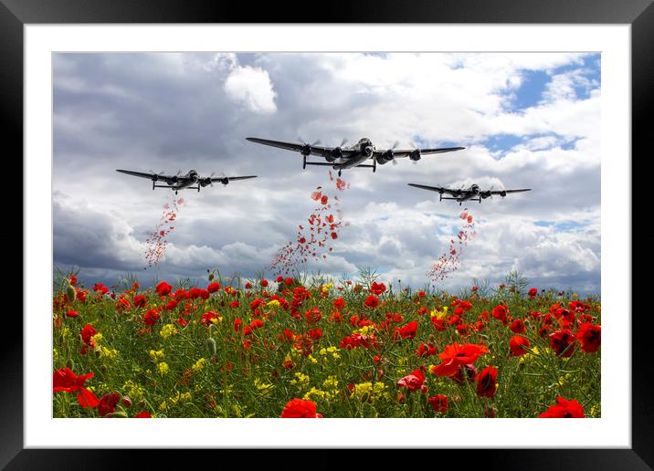 Lancaster Remembrance - Poppy Drop Framed Mounted Print by J Biggadike