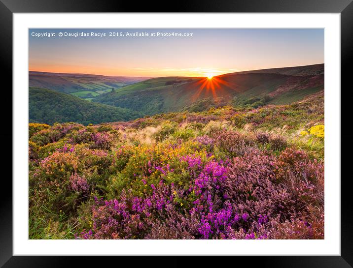 Exmoor sunset Framed Mounted Print by Daugirdas Racys