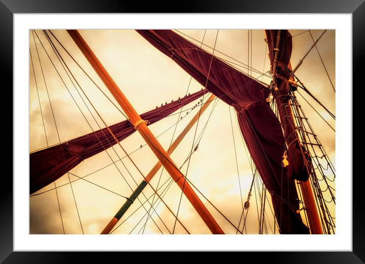 Masts of Yacht Framed Mounted Print by John Williams