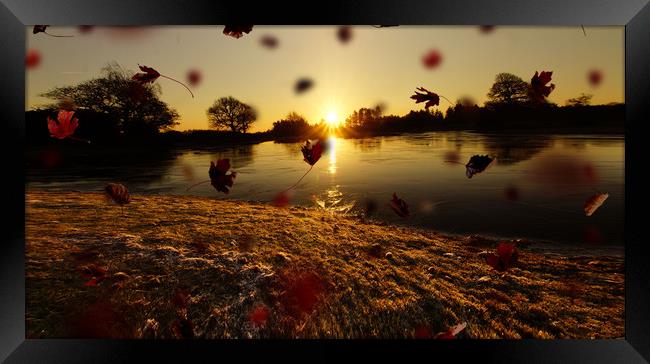 Dawn at Mogslade in New Forest Framed Print by JC studios LRPS ARPS