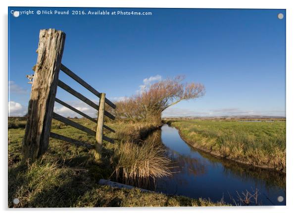 Gatepost and Ditch on the Somerset Levels Acrylic by Nick Pound
