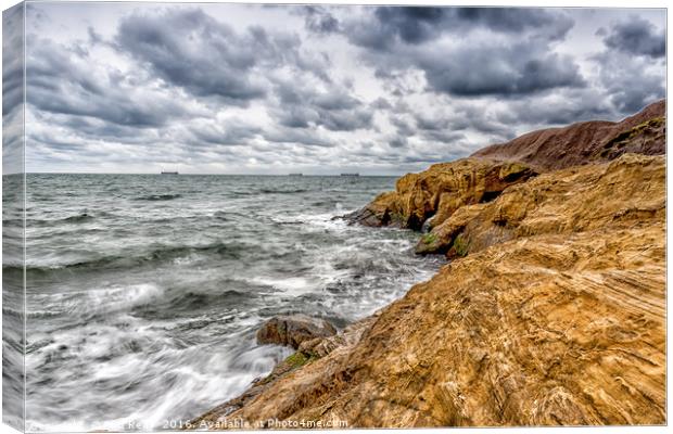 Cullercoats bay Canvas Print by Phil Reay