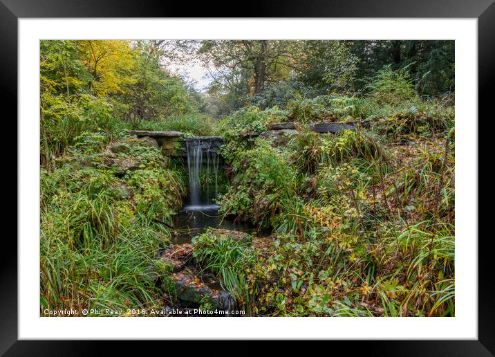 Waterfall in the park Framed Mounted Print by Phil Reay