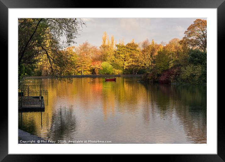 Autumn in the park Framed Mounted Print by Phil Reay