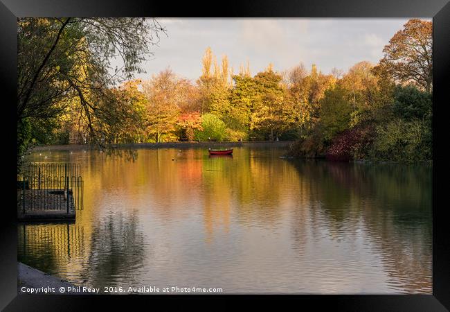 Autumn in the park Framed Print by Phil Reay