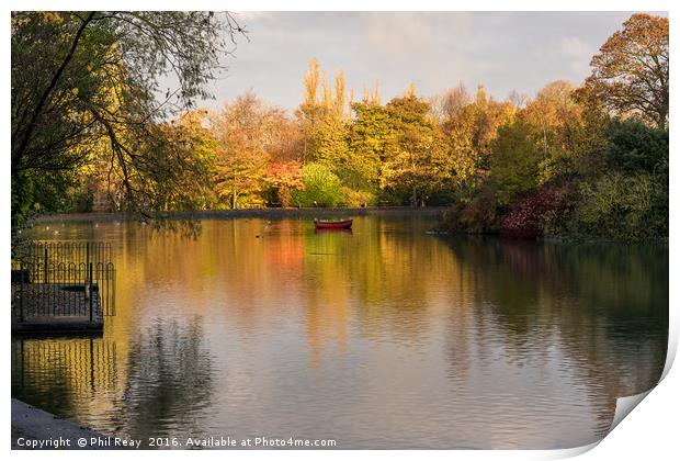Autumn in the park Print by Phil Reay