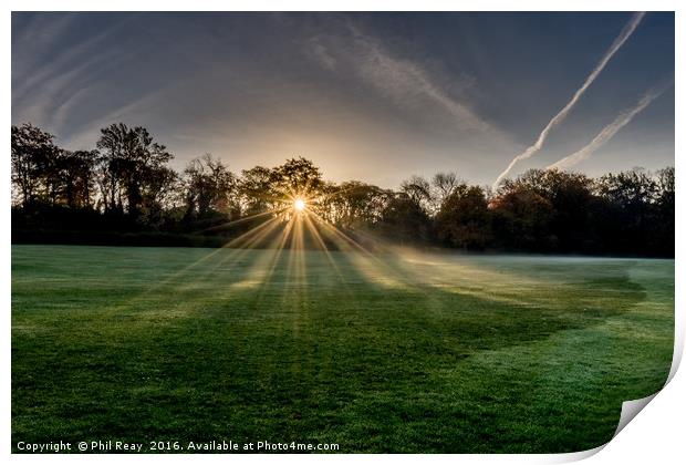 Rays of light  Print by Phil Reay