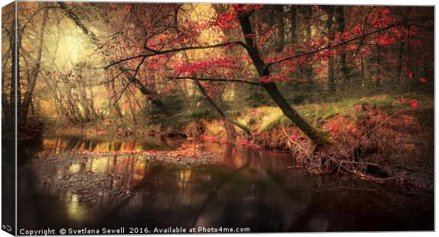 Dreamy Autumn Forest Canvas Print by Svetlana Sewell