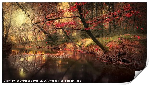 Dreamy Autumn Forest Print by Svetlana Sewell