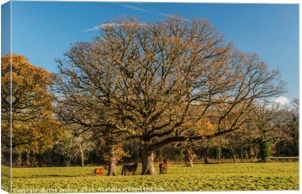 Trees and Horses Brecon Beacons Canvas Print by Nick Jenkins