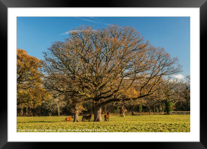 Trees and Horses Brecon Beacons Framed Mounted Print by Nick Jenkins