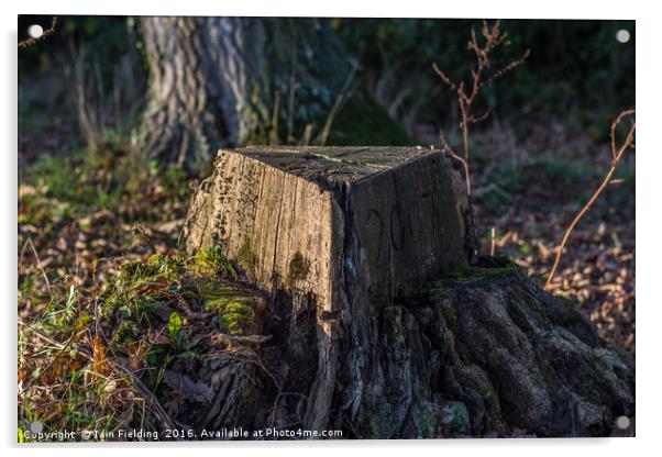 Tree Stump Acrylic by Iain Fielding