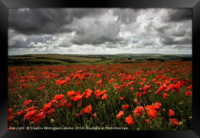 South Downs Poppies Framed Print by Creative Photography Wales