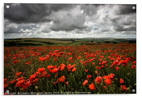 South Downs Poppies Acrylic by Creative Photography Wales