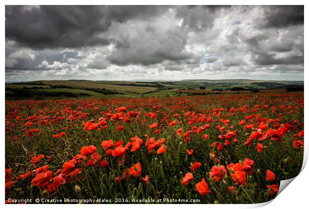 South Downs Poppies Print by Creative Photography Wales