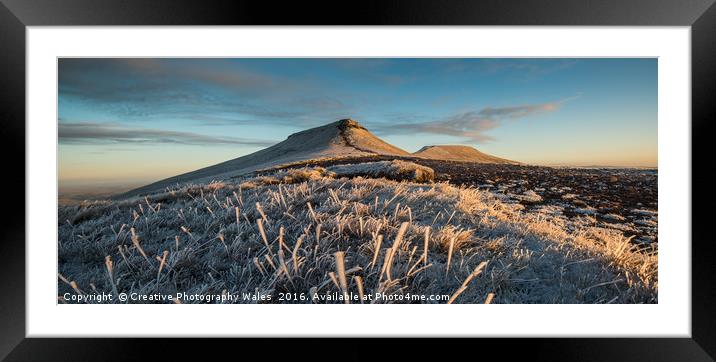 Frosted Grass Framed Mounted Print by Creative Photography Wales