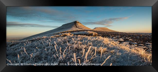 Frosted Grass Framed Print by Creative Photography Wales