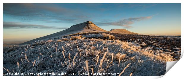 Frosted Grass Print by Creative Photography Wales