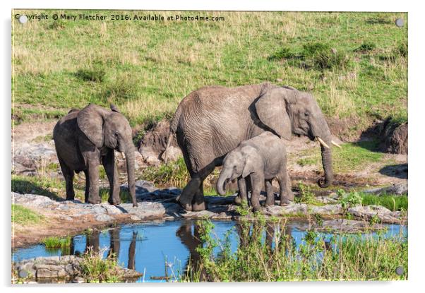 Elephant Family at a watering hole. Acrylic by Mary Fletcher