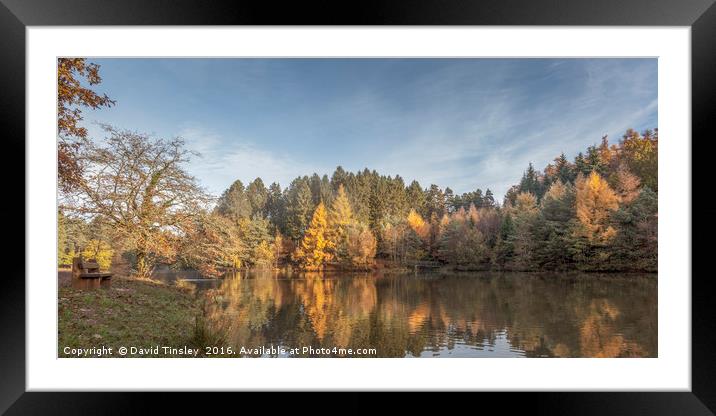 A Place To Sit And Reflect Framed Mounted Print by David Tinsley