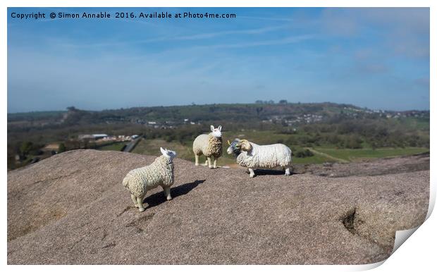 Derbyshire Sheep Print by Simon Annable