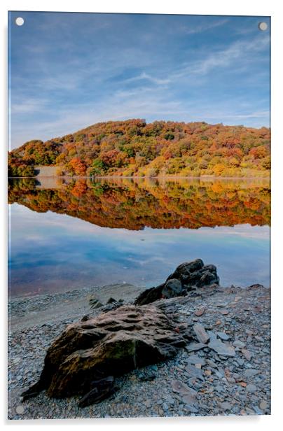 Elan Valley Autumn Reflections, Wales Acrylic by Jonathan Smith