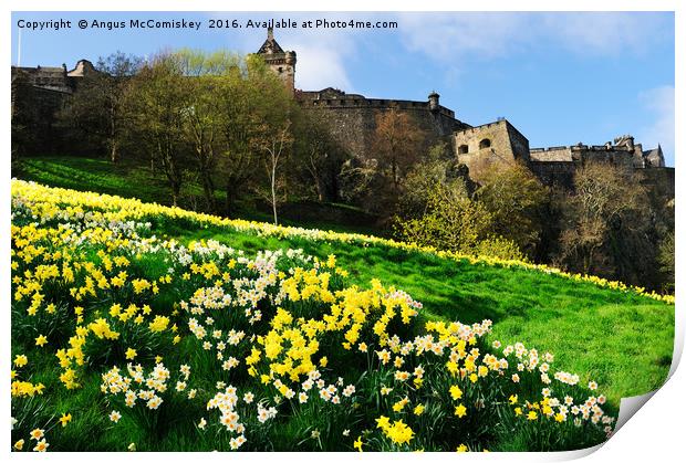 Edinburgh Castle embankment daffodils Print by Angus McComiskey