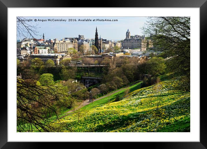 Edinburgh cityscape with daffodils Framed Mounted Print by Angus McComiskey