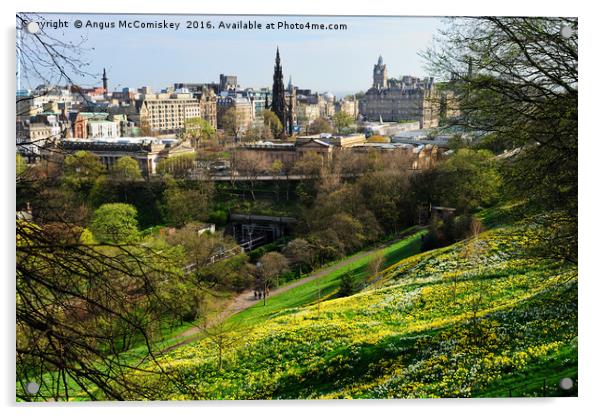 Edinburgh cityscape with daffodils Acrylic by Angus McComiskey
