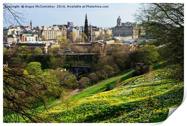 Edinburgh cityscape with daffodils Print by Angus McComiskey