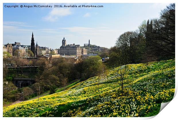 Spring flowers in Princes Street Gardens Edinburgh Print by Angus McComiskey