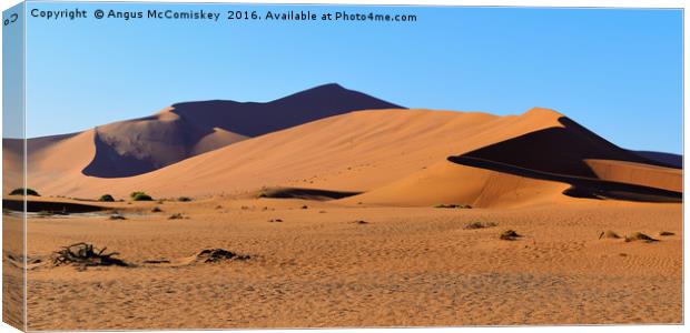 Namib Desert Canvas Print by Angus McComiskey
