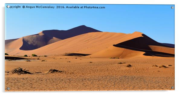 Namib Desert Acrylic by Angus McComiskey