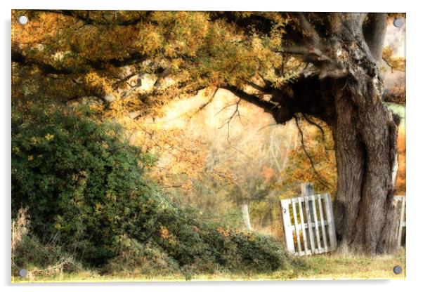 Gateway to Autumn Acrylic by Sue Dudley