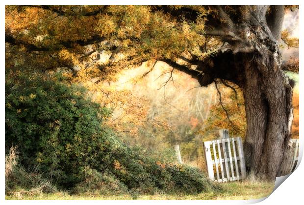 Gateway to Autumn Print by Sue Dudley