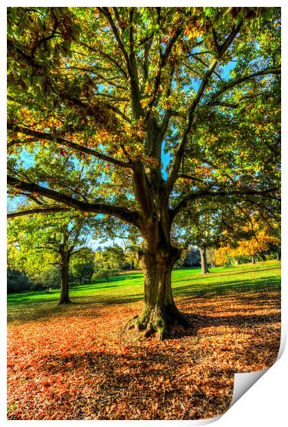 A London Autumn Day Print by David Pyatt