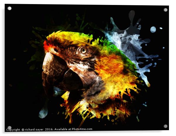 Parrot Splatter Acrylic by richard sayer