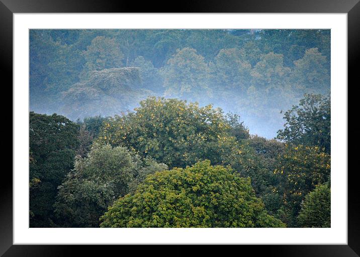 morning mist Framed Mounted Print by graham young