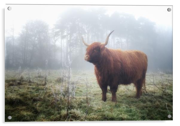 Highland in the mist Acrylic by Simon Wrigglesworth