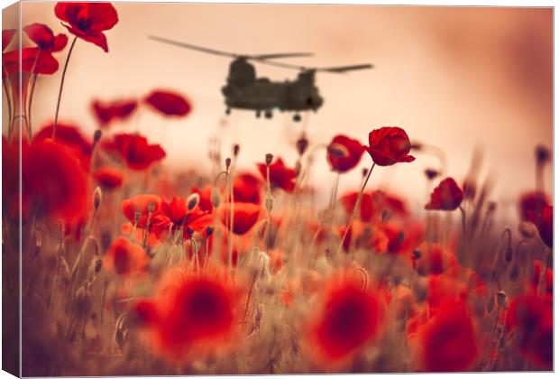 Chinook Tribute Canvas Print by J Biggadike