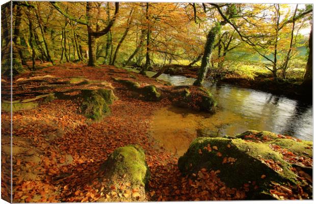 golitha falls autumn Canvas Print by Dave Bell