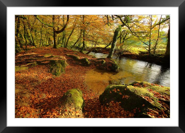 golitha falls autumn Framed Mounted Print by Dave Bell