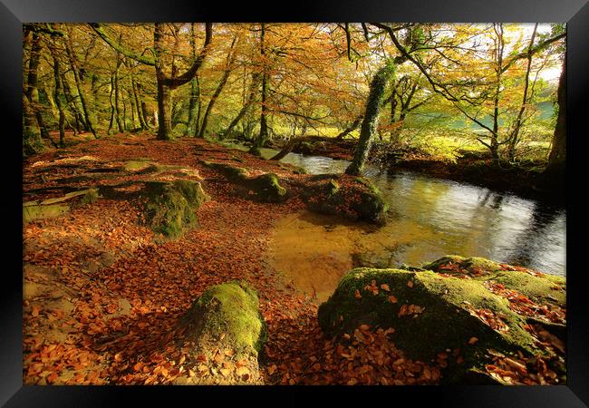 golitha falls autumn Framed Print by Dave Bell