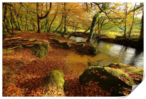 golitha falls autumn Print by Dave Bell