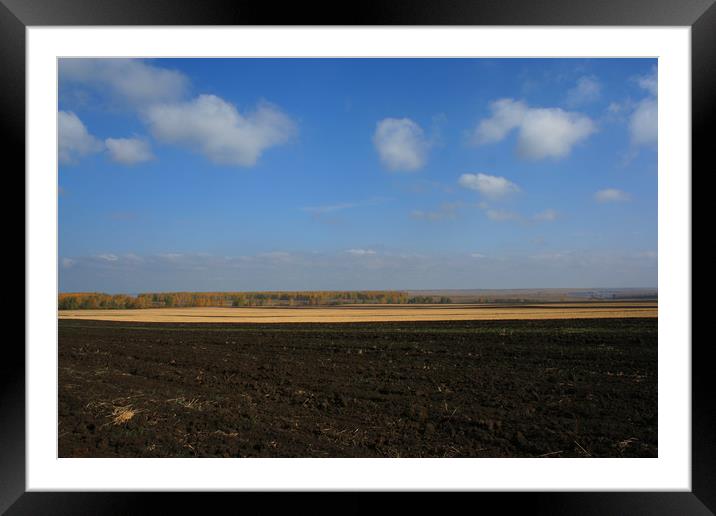 Autumn field Framed Mounted Print by Larisa Siverina