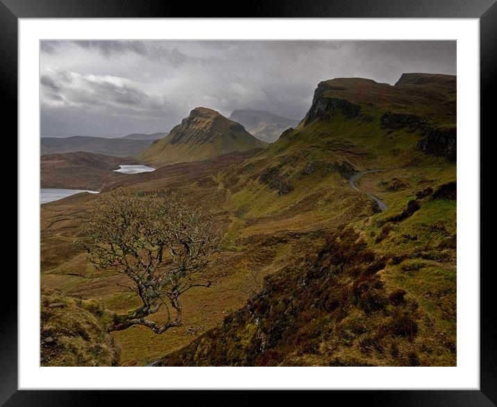 The Rowan Tree and The Quiraing. Framed Mounted Print by Martin Appleby