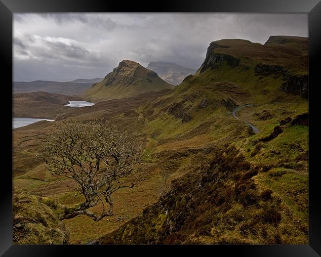 The Rowan Tree and The Quiraing. Framed Print by Martin Appleby